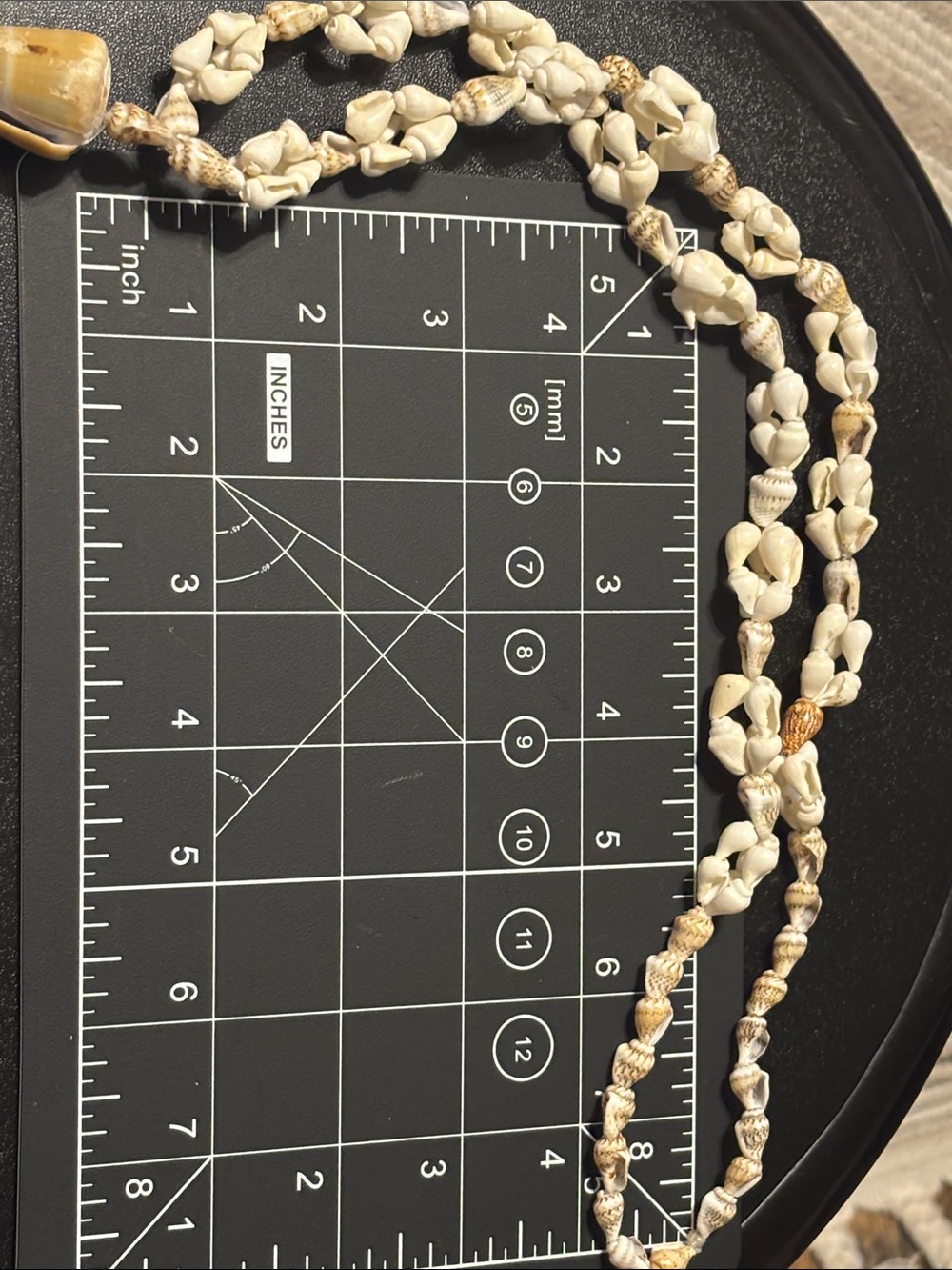 Natural Hawaiian Lei Style Conch Cowrie Cone Shell Pendant Necklace Cream Tan - Picture 13 of 16